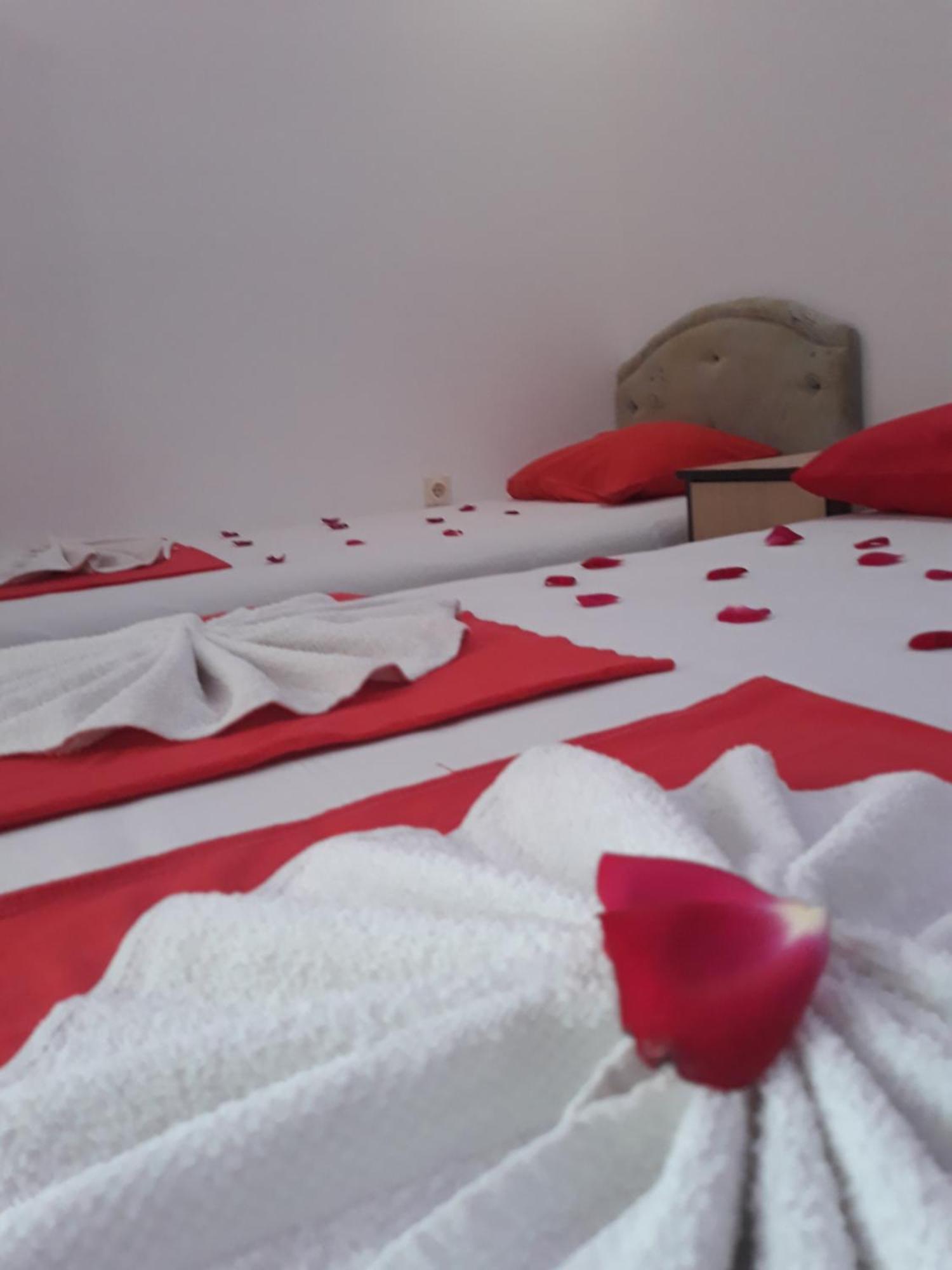 דוברה וודה Apartments Aza חדר תמונה