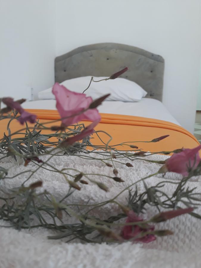 דוברה וודה Apartments Aza מראה חיצוני תמונה